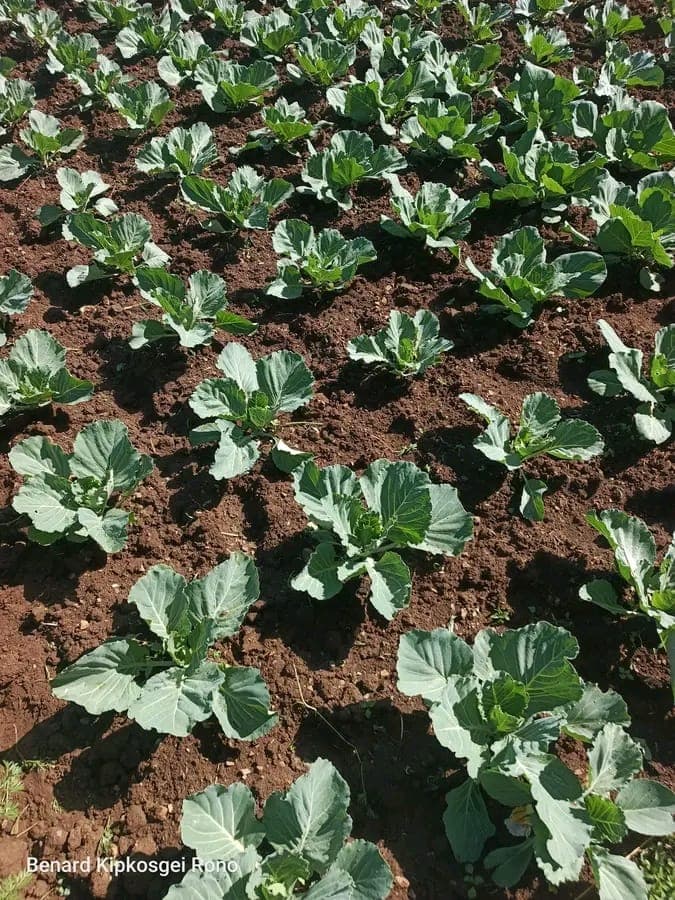 Agriculture Programs gallery image 3